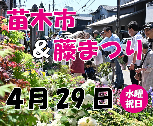 中仙道蕨宿苗木市・藤まつり