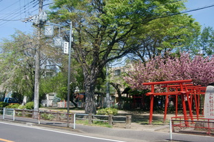 写真：三和稲荷公園1