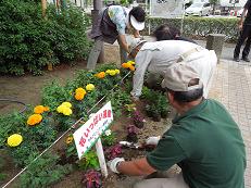 写真：「花いっぱい運動」で花を植栽する市民の様子