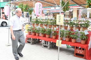 写真：あさがお＆ほおずき市会場の様子