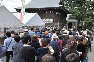 写真：蕨市園芸祭の様子