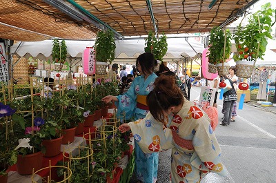 写真：あさがおアンドほおずき