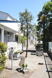 写真：一本杉塚