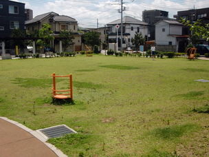 写真：わらび公園　芝生