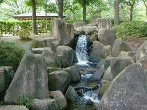 写真：蕨市民公園流れ