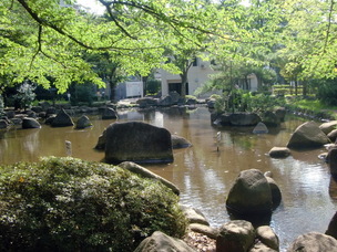 写真：蕨市民公園池