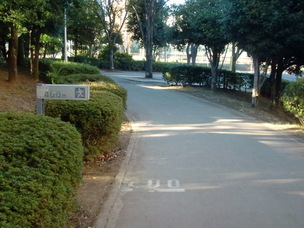 写真:蕨市民公園ランニングコース