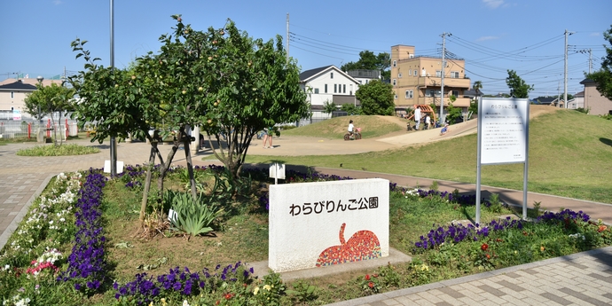 写真：わらびりんご公園