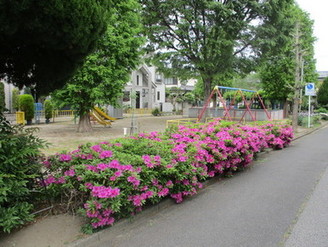 写真：つつじ公園全景