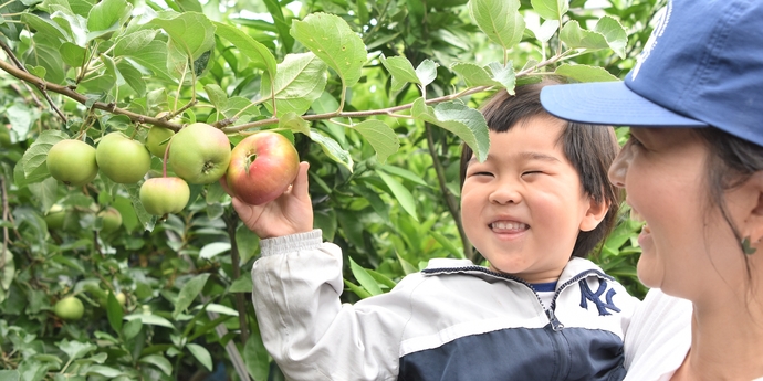 写真：わらびりんごを収穫しながら笑顔の子ども
