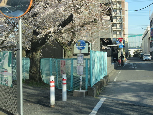 バス停留所の写真