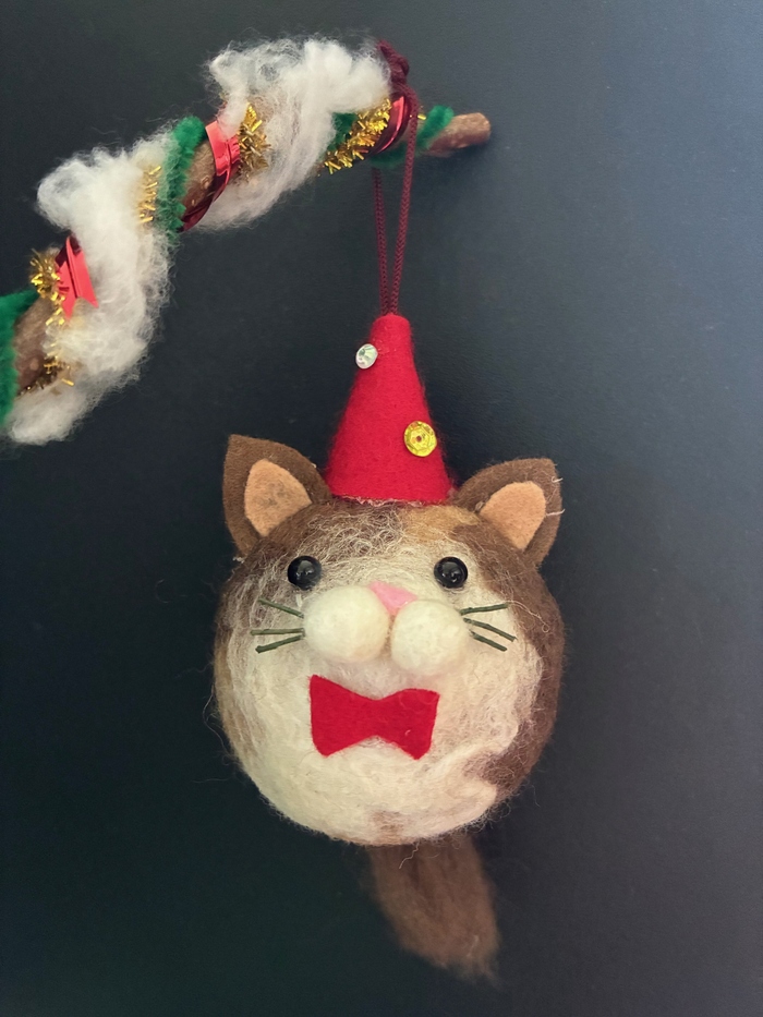 写真：ネコサンタ見本