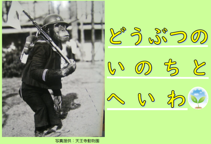 チラシ：平和事業