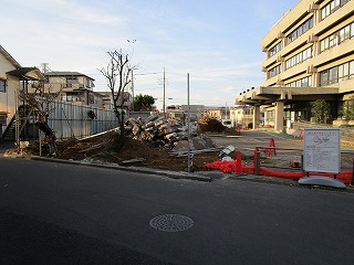 写真：旧庁舎正面の樹木撤去工事