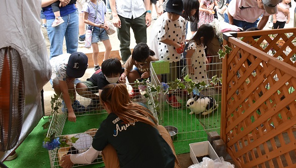 移動式動物園　写真