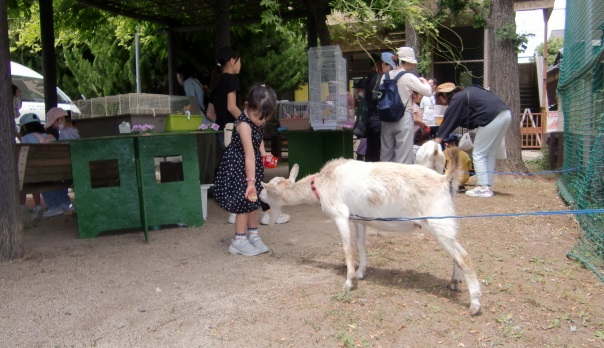 ふれあい動物園