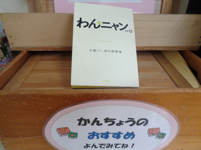 館長のおすすめ本！