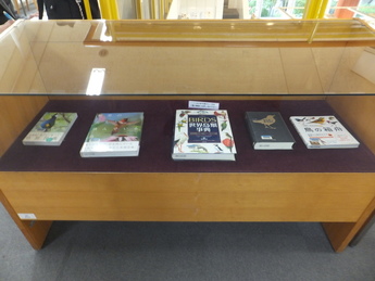 写真：2F展示図書コーナー