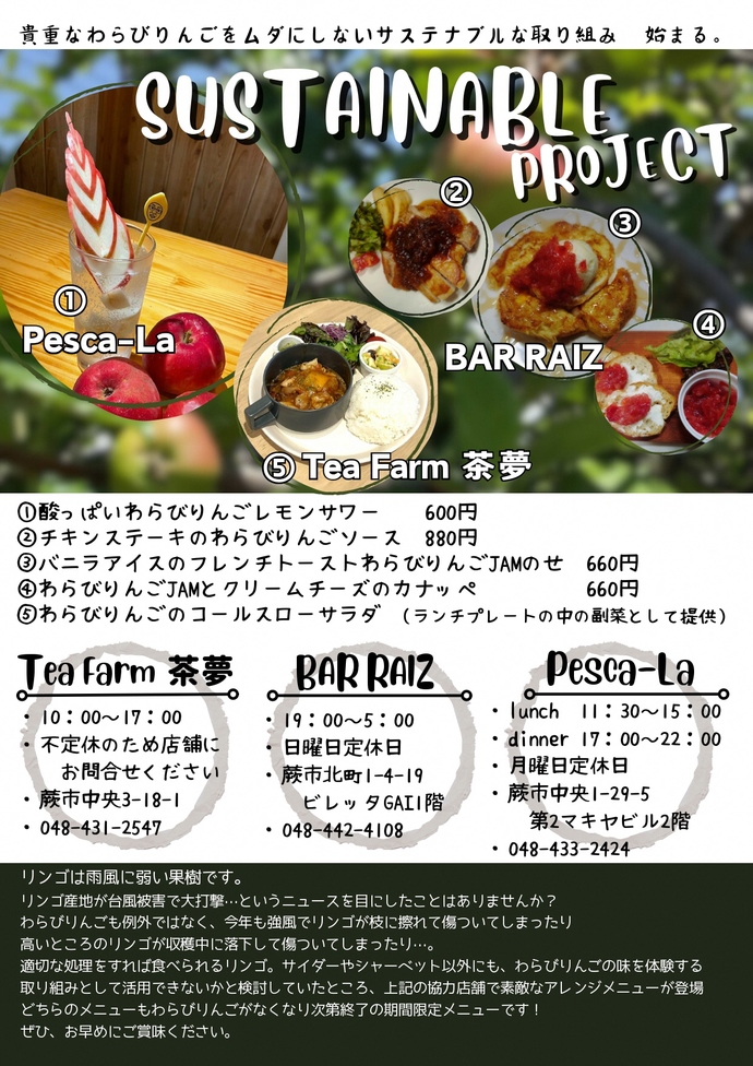 サステなリンゴプロジェクトチラシ