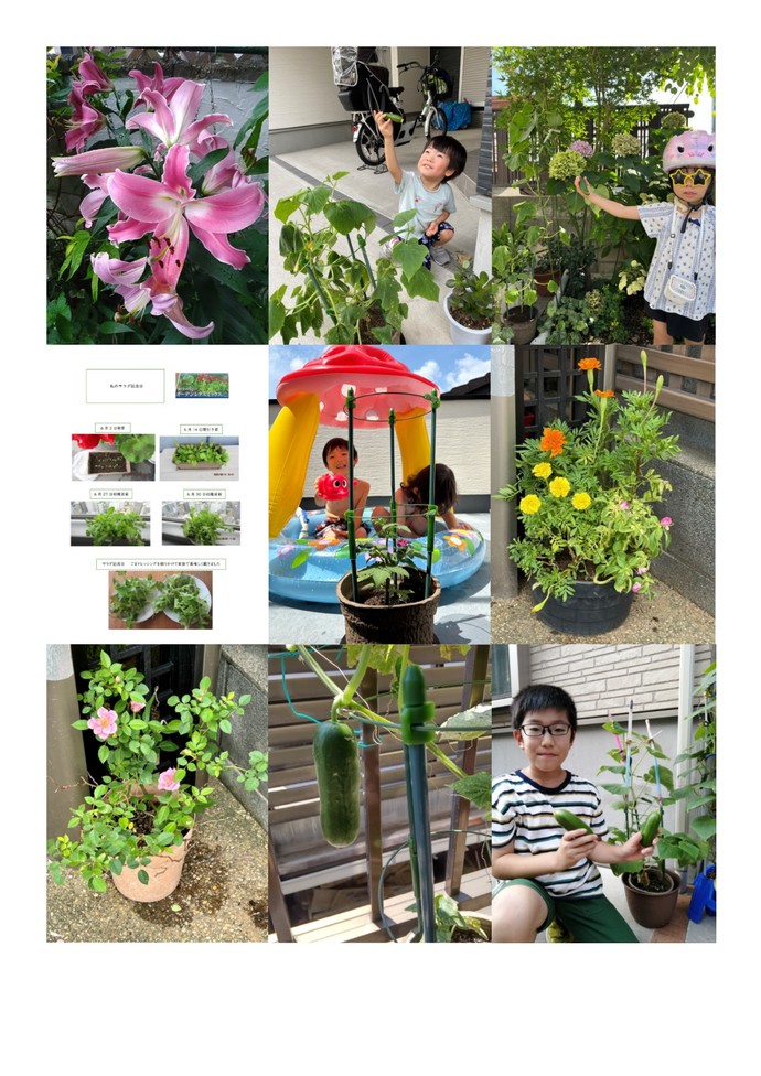 大賞、優秀賞以外の方の写真