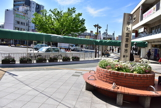写真：花壇1