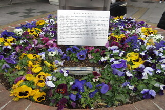 写真：花壇2