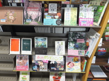 写真：1F展示図書コーナー