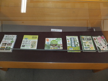写真2：2F展示コーナー