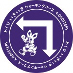 路面シート4000歩画像