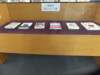 写真:2F展示コーナー