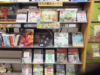 写真:1F展示図書コーナー