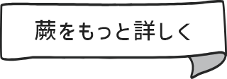 蕨をもっと詳しく